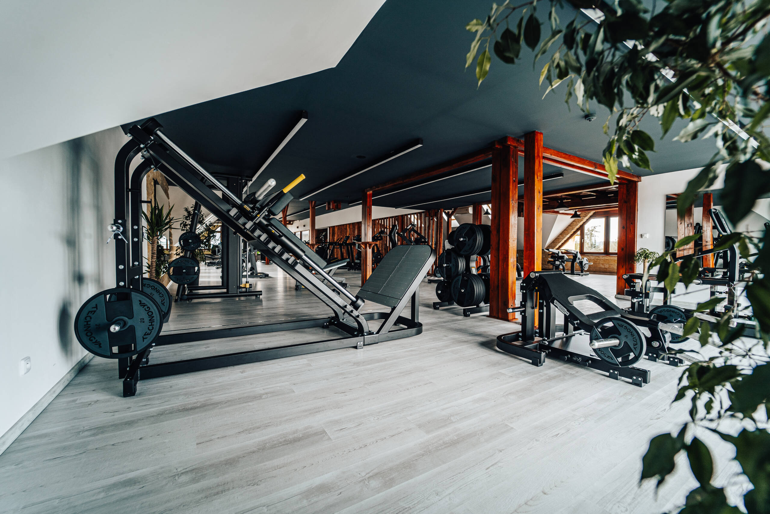 Fitness